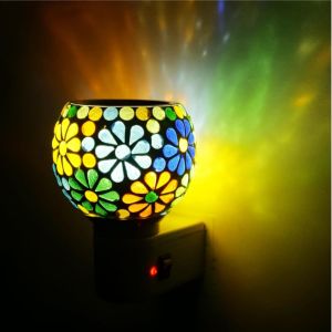 Electric Kapoor Dani