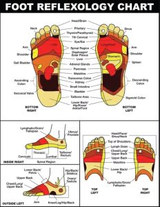 Foot Reflexology Chart