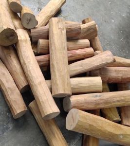 White Sandalwood Logs