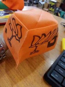 Political Campaign Cap