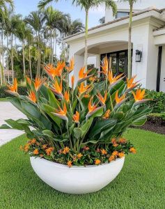 Plain Designer Garden Marble Planter, Portable Style : Standing