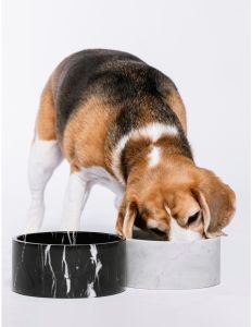 Marble PET Feeding Bowl