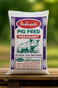Pig Pregnant Feed