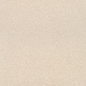 Bathroom Non Slippery Tiles