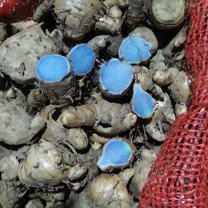 Natural Black Turmeric Food Grade