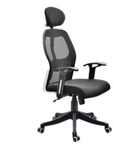 Ergonomic Office Chair with Lumbar Support