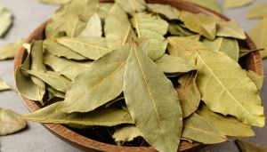 Bay Leaves
