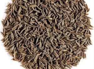 Cumin Seed Whole, Packaging Type : Sealed Bag