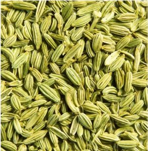 Organic Fennel Seeds, Color : Green