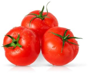 Tomato, Color : Red, Packaging Type : Varies