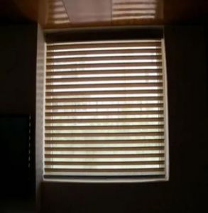 Office Window Roller Blinds