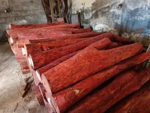 red sandal wood logs