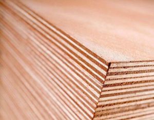 MR Grade Commercial Hardwood Plywood