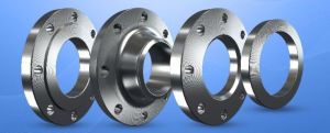 Riton Metal Stainless Steel Flanges