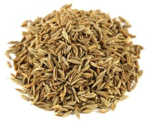 Cumin Seed