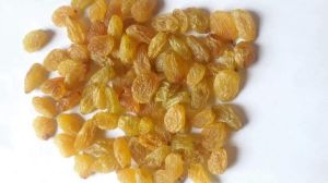Dry Raisin