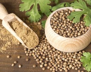 Coriander Seeds, Grade Standard : Elb, LB, Sb