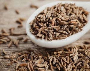Cumin Seeds, Grade Standard : Elb, LB, Sb