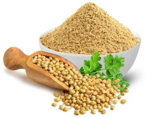 Dehydrated Coriander Powder