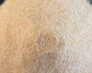 Dehydrated Garlic Granules