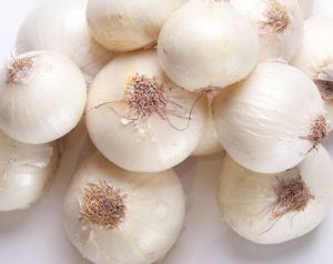 Fresh White Onions