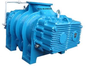 Gas Blowers