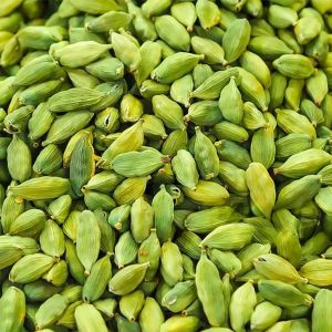 Cardamom Essential Oil