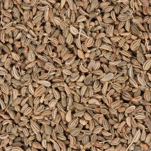 Celery Essential Oil for Aromatherapy, Flavoring, Fragrance