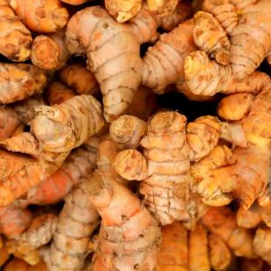 Curcuma Aromatica Essential Oil