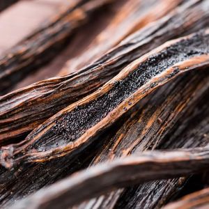 Vanilla Beans