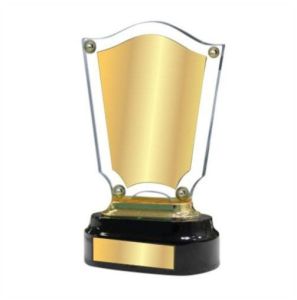 Solid Gold Plated Acrylic Trophy, Color : Multicolor for Prize