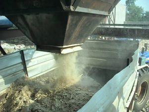 Dust Collection System