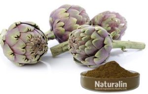 Artichoke Extract, Packaging Type : Standard Packaging