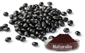 Black Bean Extract