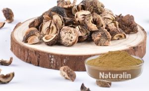 Emblica Officinalis Extract