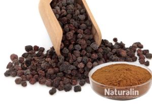 Fructus Schisandra Extract