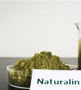 Matcha Tea Powder for Beverage, Culinary