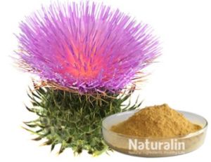 Milk Thistle Extract