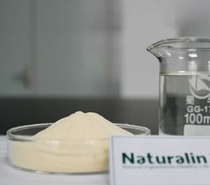 Passion Fruit Powder