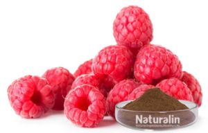 Raspberry Extract, Packaging Type : Bottle for Health Protection