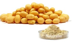 Soybean Extract, Packaging Type : HDPE Bag