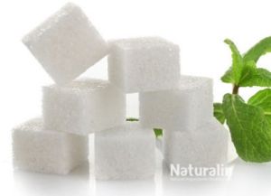 Stevia Extract, Packaging Type : Plastic Container