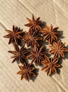 Autumn Star Aniseed