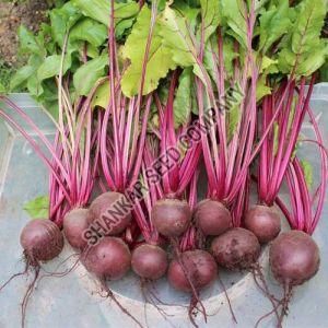 Natural F1 Hybrid Beetroot Seeds, Color : Dark Red