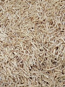 Dry White Shatavari Root