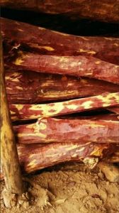 red sandal wood logs, Length : 8 Feet, Packaging Type : Carton Box