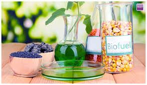 Bio Diesel Fuel Oil, Purity : 99%