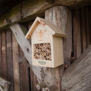 Bee Hut