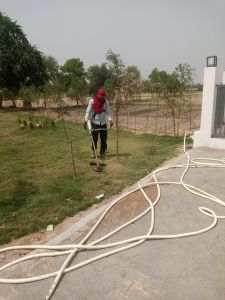 Horticulture Development