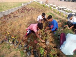 Landscape Management